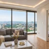 The Executive Suite
